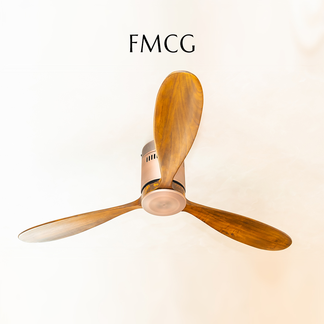 fan (1)